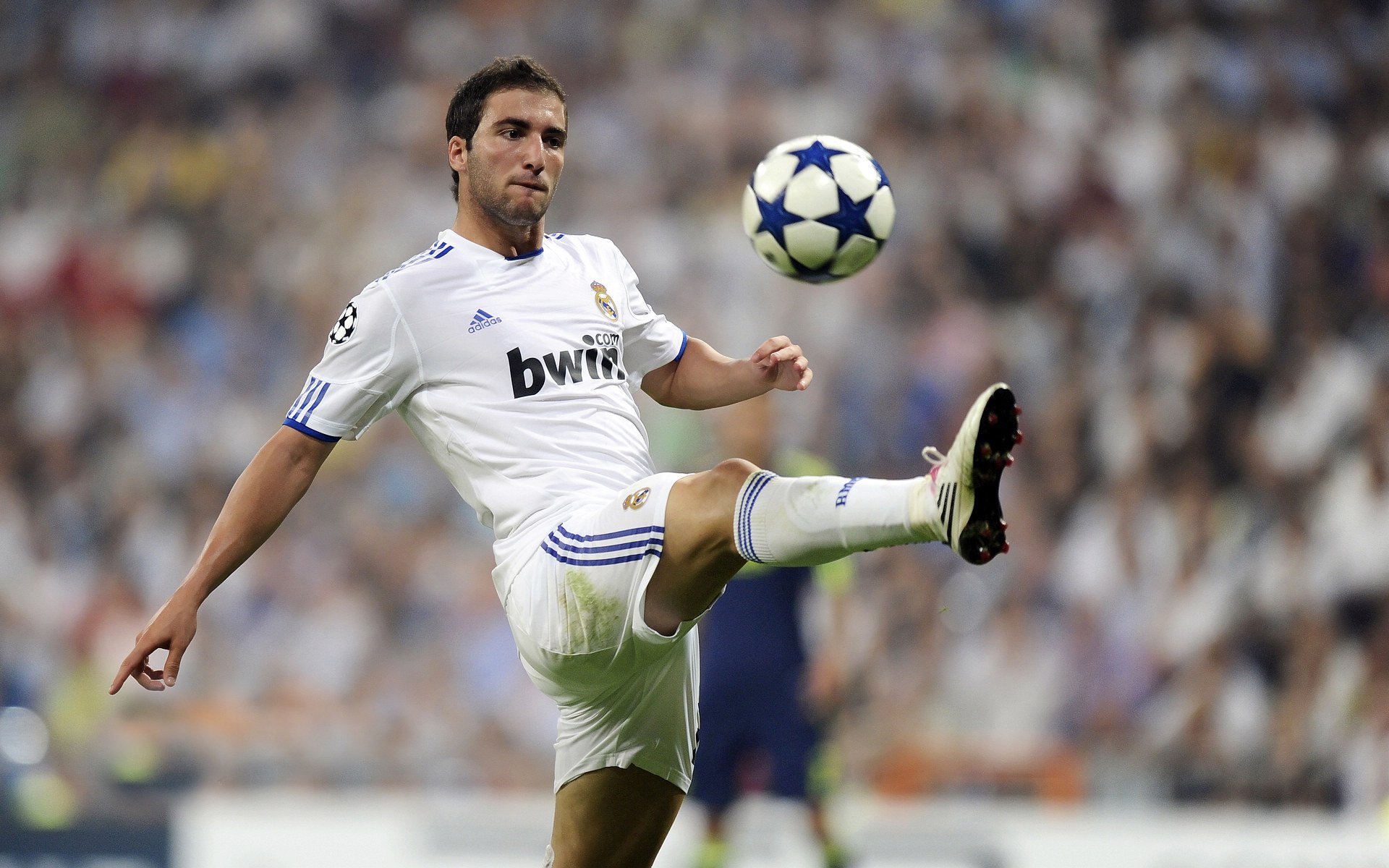 “足球文化周在全国多地同步开启，推广足球精神”，足球文化节标语